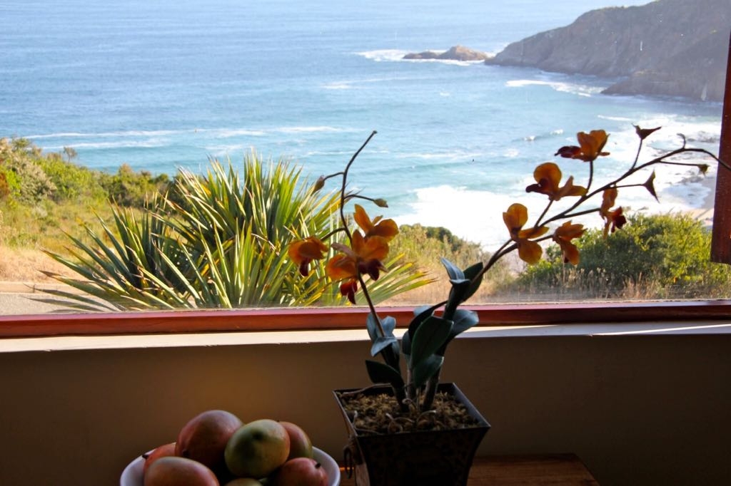 Ocean View 4