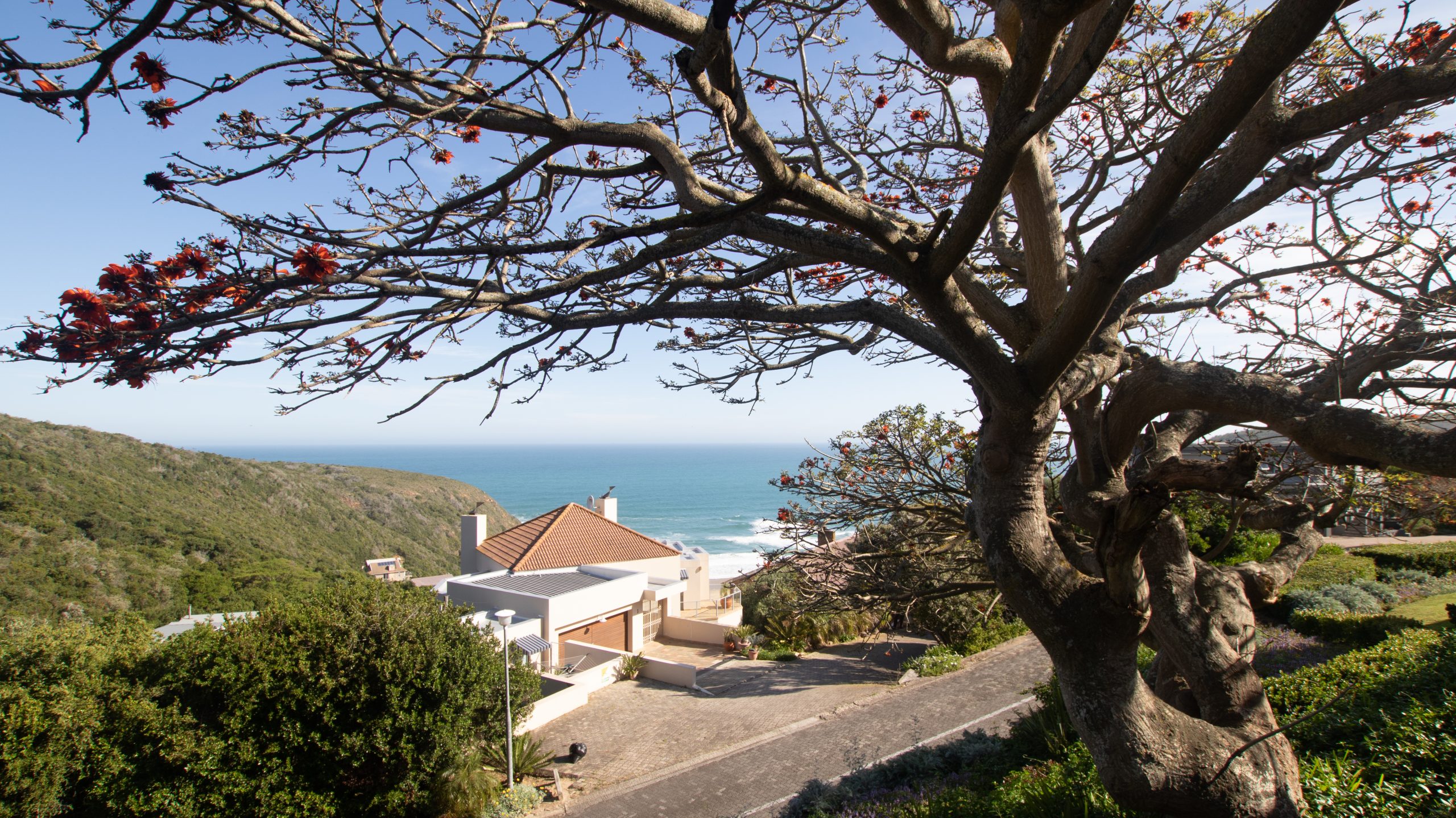 Dutton's Cove studio with sea view